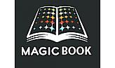 Срочный, качественный ремонт электронных книг Magic